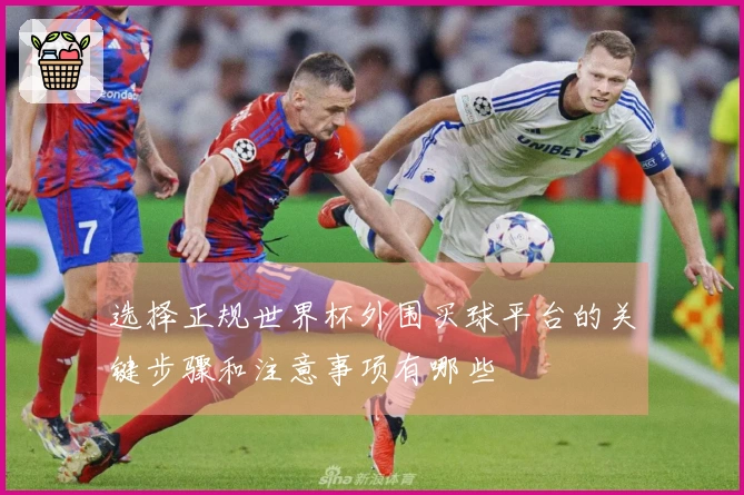 选择正规世界杯外围买球平台的关键步骤和注意事项有哪些