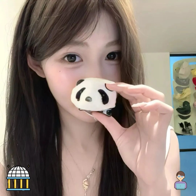 苏宁女士